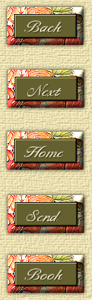 Menu de navega&ccedil;&atilde;o