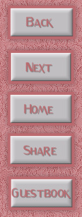 menu de navegação