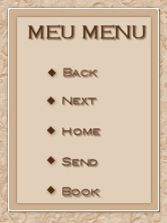 Menu de navegação